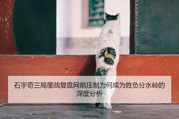 石宇奇三局鏖战复盘网前压制为何成为胜负分水岭的深度分析