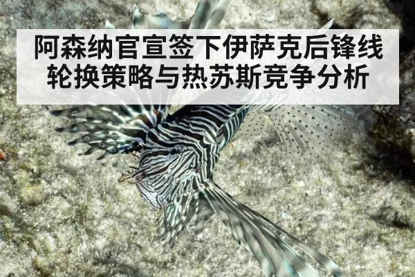阿森纳官宣签下伊萨克后锋线轮换策略与热苏斯竞争分析