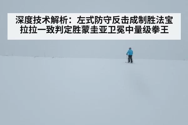 深度技术解析：左式防守反击成制胜法宝拉拉一致判定胜蒙圭亚卫冕中量级拳王