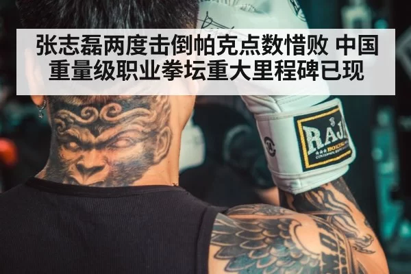 chinese boxer
